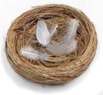Nesting