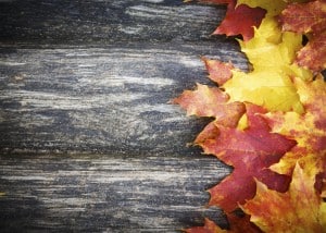 Autumn background