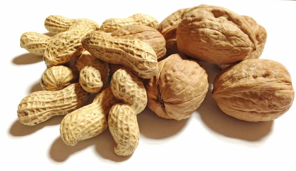 The Peanut and the Walnut How to Make Knowledge Accessible Creative